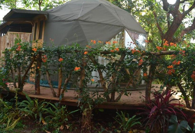 چادر با خدمات رفاهی استاندارد, Jinja Backpackers