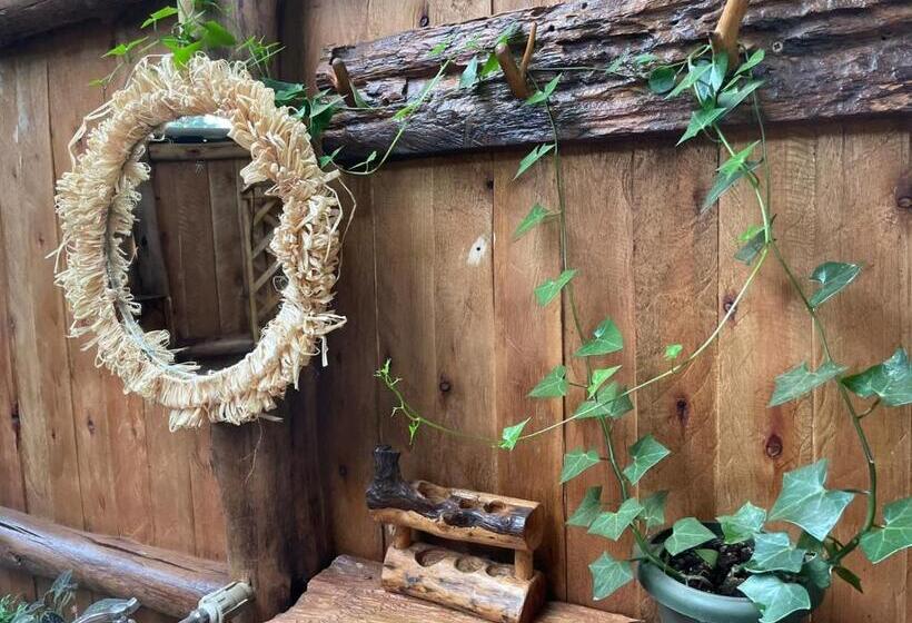 چادر با خدمات رفاهی استاندارد, Jinja Backpackers