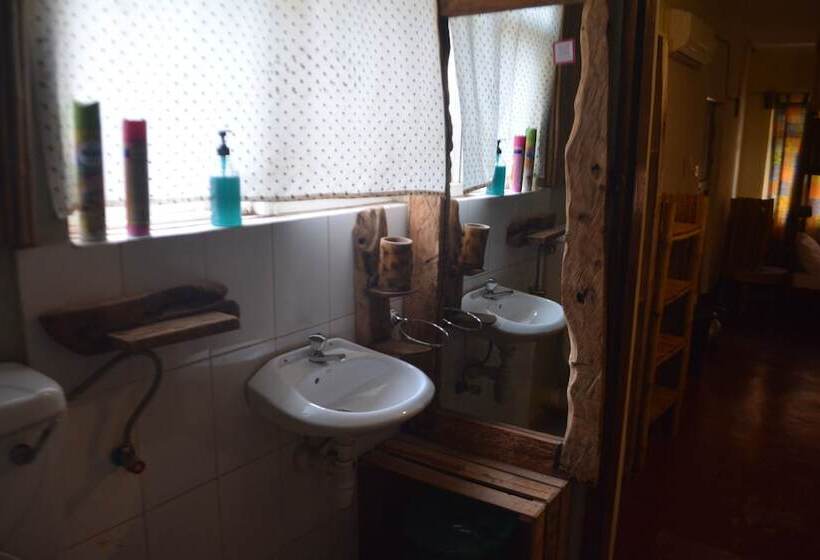 تختخواب در اتاق مشترک, Jinja Backpackers