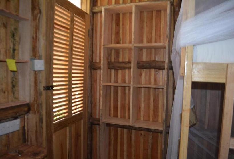 تختخواب در اتاق مشترک, Jinja Backpackers