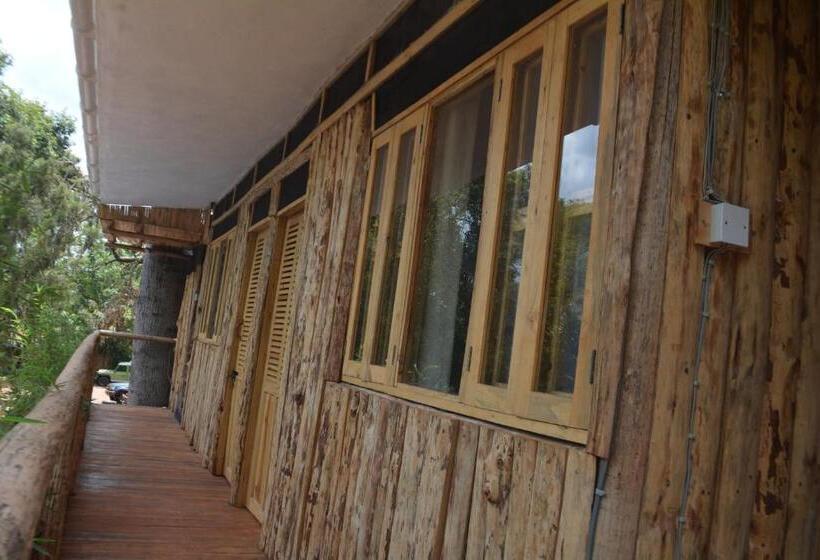 تختخواب در اتاق مشترک, Jinja Backpackers