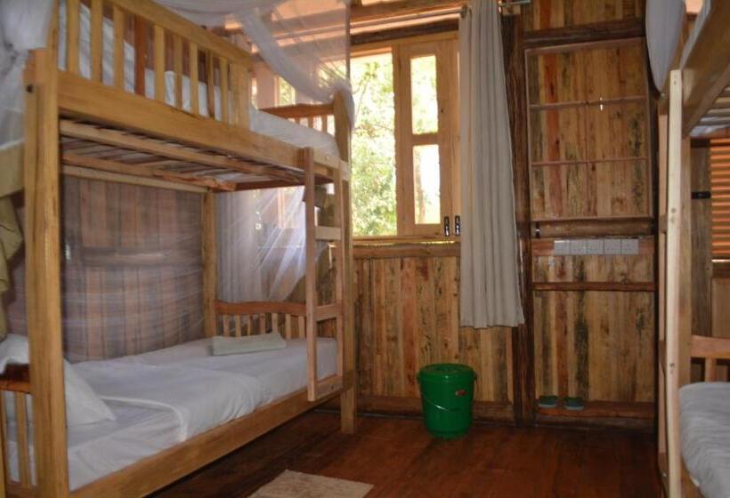 تختخواب در اتاق مشترک, Jinja Backpackers