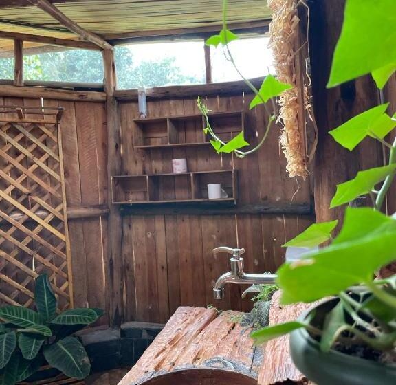 اتاق خانوادگی, Jinja Backpackers