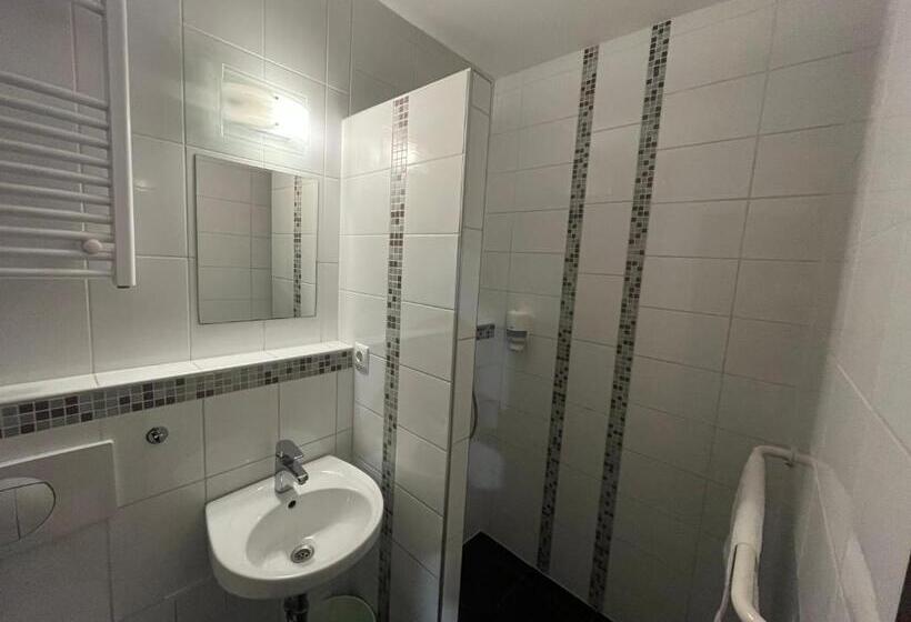 غرفة قياسية, Centrál Borház   étterem és Panzió