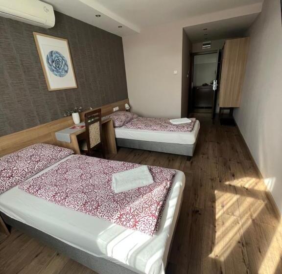 غرفة قياسية, Centrál Borház   étterem és Panzió