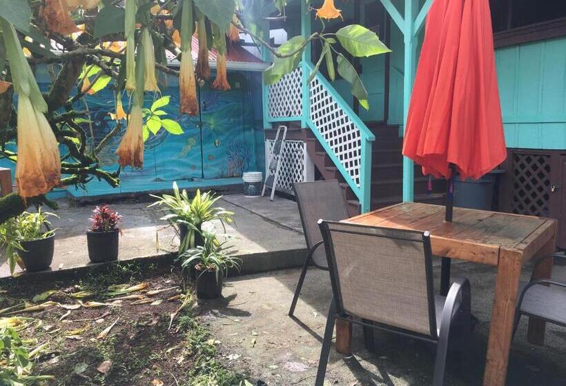 带共用浴室的标准房间, Pahoa Village Hostel