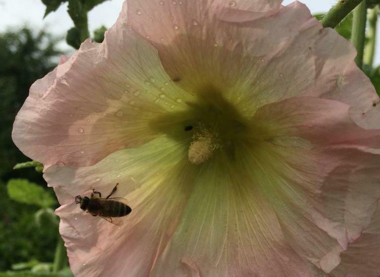 带1个卧室的公寓, B&b Chez Didier Et Catherine