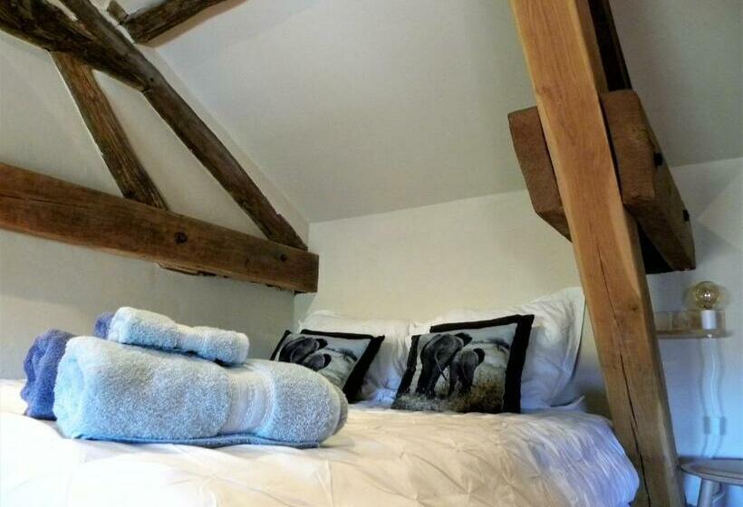 标准房带园景, Maison Olleris