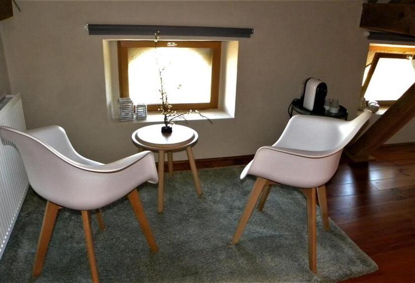 标准房带园景, Maison Olleris