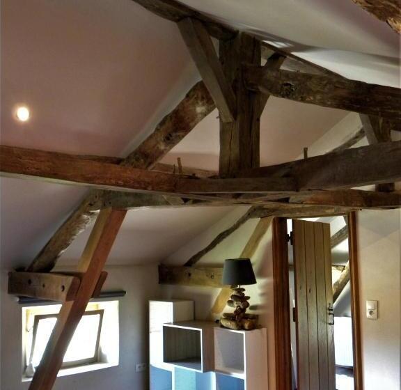 标准房带园景, Maison Olleris