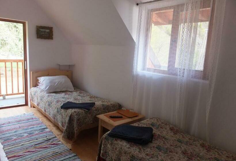 غرفة قياسية, Pensiunea Piatra Mandrutului