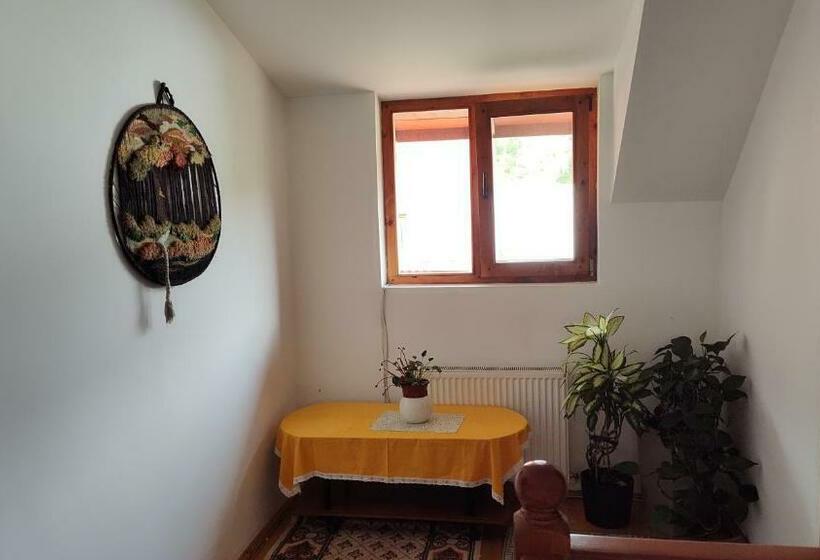 غرفة قياسية, Pensiunea Piatra Mandrutului