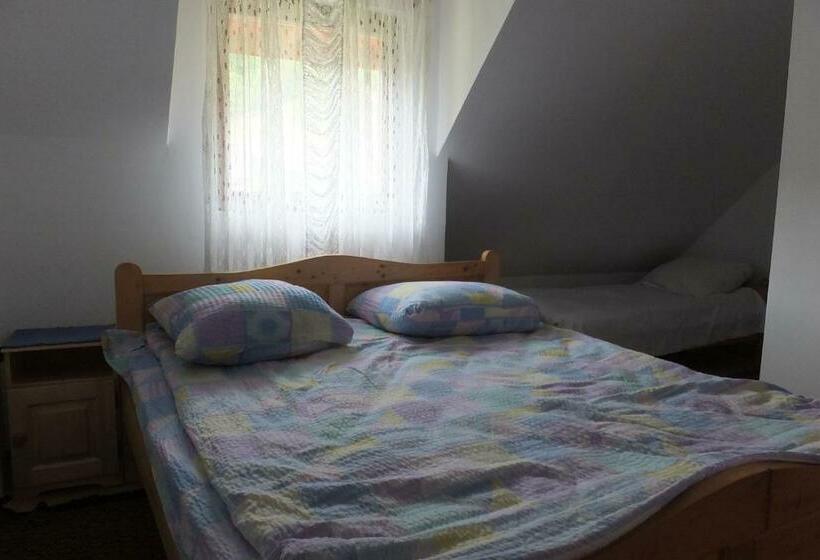 Номер Стандарт, Pensiunea Piatra Mandrutului