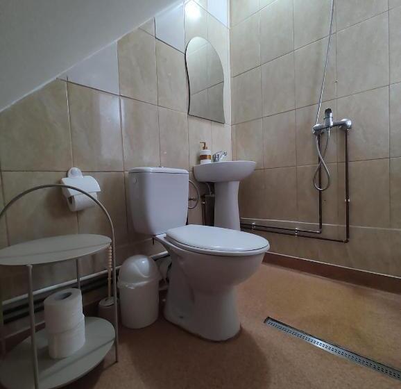 غرفة قياسية, Pensiunea Piatra Mandrutului