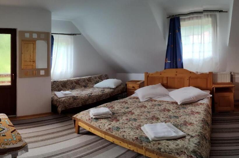 غرفة قياسية ثلاثية حمام مشترك, Pensiunea Piatra Mandrutului