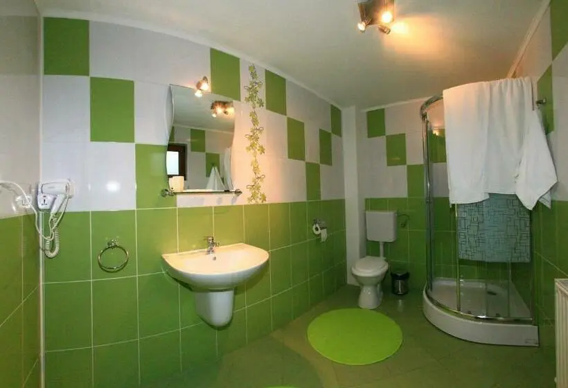 エコノミールーム, Casa Dintre Vai