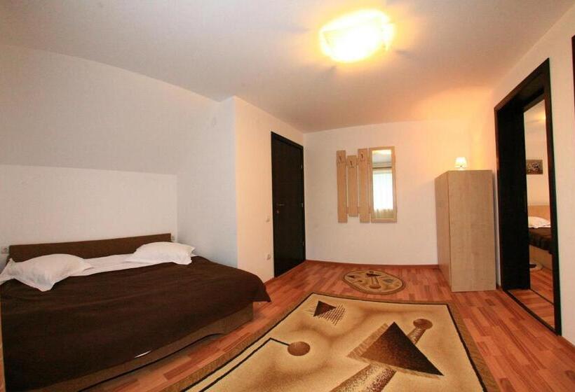 带1个卧室的带阳台的公寓, Casa Dintre Vai