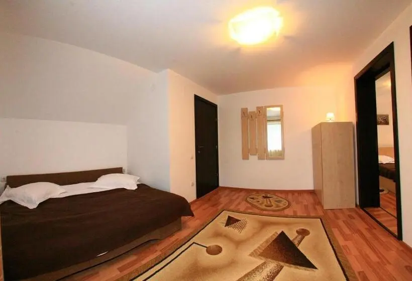 バルコニー付き１ベッドルームアパートメント, Casa Dintre Vai