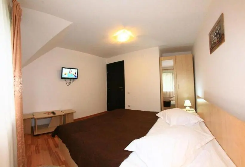 バルコニー付き１ベッドルームアパートメント, Casa Dintre Vai