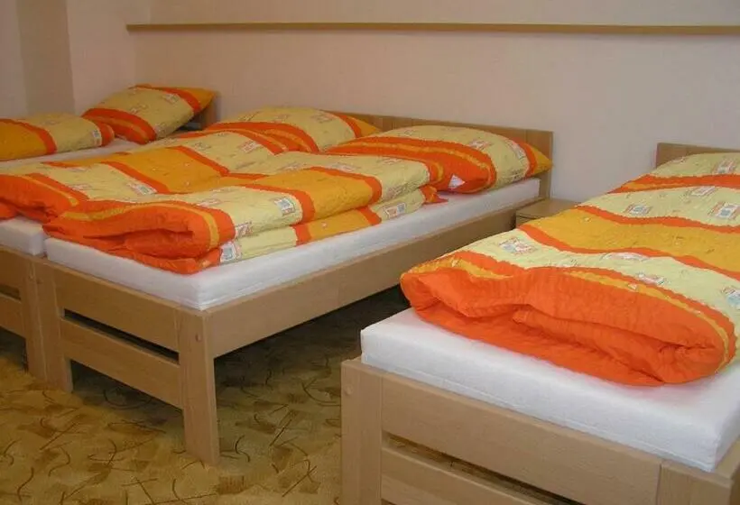 スタンダード４人部屋, Penzion U Tomášů