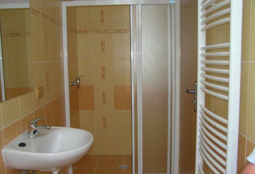 חדר סטנדרט לארבעה, Penzion U Tomášů