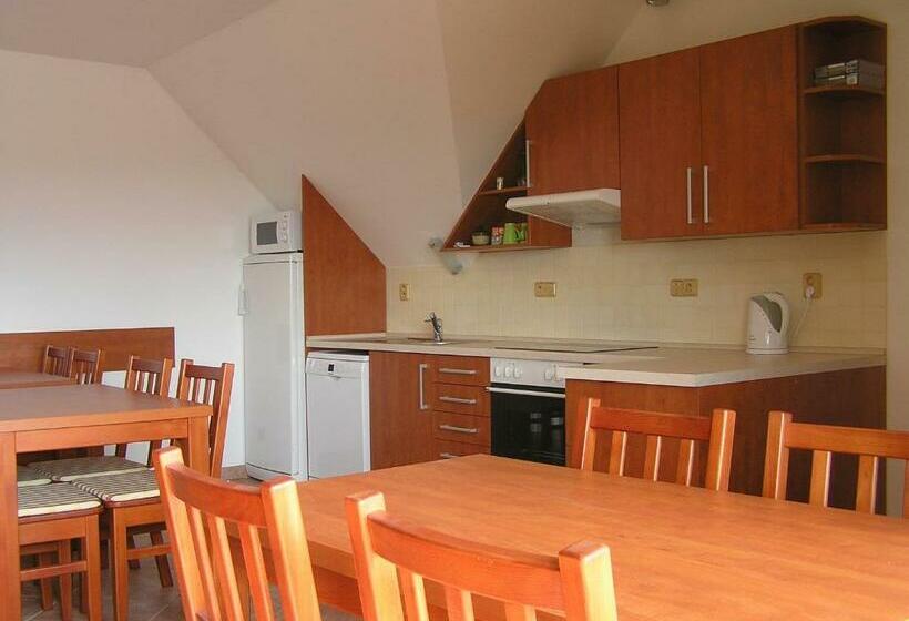 חדר סטנדרט חדר אמבטיה משותף, Penzion U Tomášů