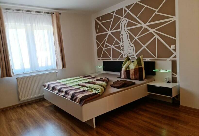 标准间, Pension Sonnwendgasse