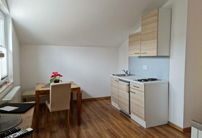 标准工作室, Pension Sonnwendgasse