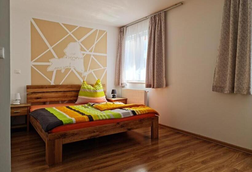 标准间, Pension Sonnwendgasse