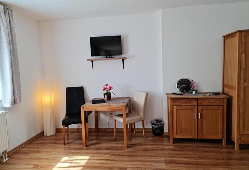 标准间, Pension Sonnwendgasse