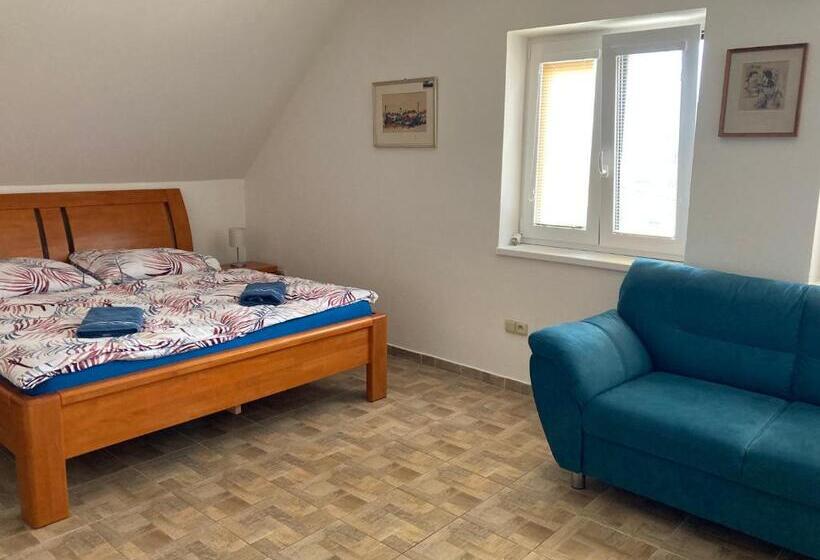 带1个卧室的公寓, Apartmány S Klimatizací Penzion U Kudláčků Pouzdřany