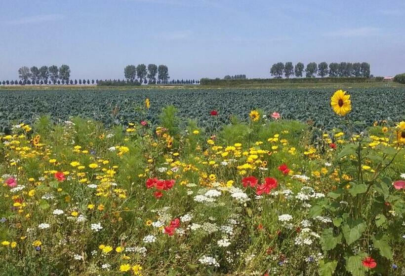 Quarto standard, Bed En Breakfast En Bike