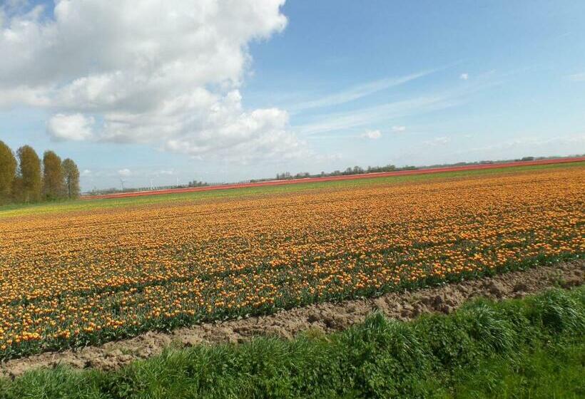 Quarto Triplo Standart, Bed En Breakfast En Bike