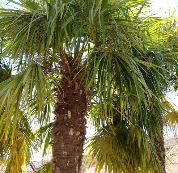 شقة غرفة واحدة مطلة على حمام السباحة, Coeuraccords, Spa & Bien être Au Calme Naturiste Toute L Année