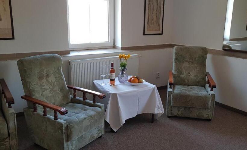 غرفة قياسية, Penzion Cerny Mlyn Sokolov