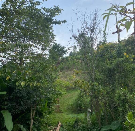 اتاق خانوادگی با سرویس بهداشتی مشترک, Khaokhopimphupha Farmstay เขาค้อพิมภูผาฟาร์มสเตย์ ไม่มีไฟฟ้า น้ำจากน้ำตกธรรมชาติ Low Cabon With Sust