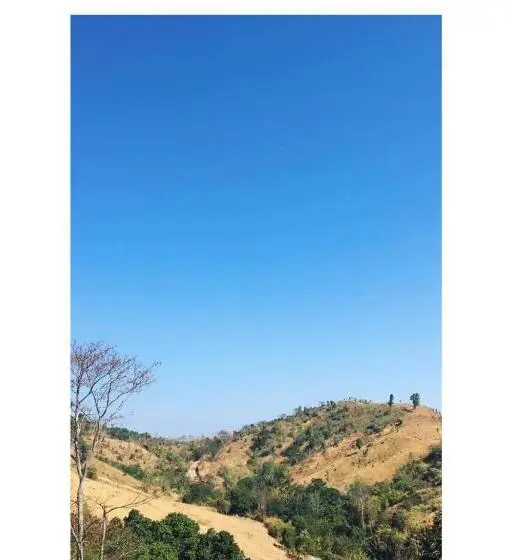 バスルーム共有のシングルスタンダード, Khaokhopimphupha Farmstay เขาค้อพิมภูผาฟาร์มสเตย์ ไม่มีไฟฟ้า น้ำจากน้ำตกธรรมชาติ Low Cabon With Sust
