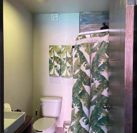 Студия Стандарт, Quinta Lorame