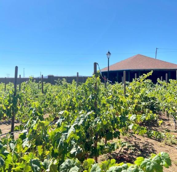 Студия Стандарт, Quinta Lorame