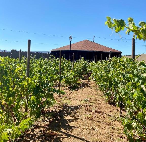 Студия Стандарт, Quinta Lorame