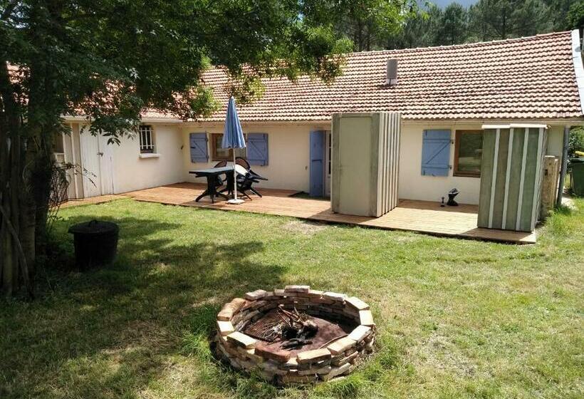 إستوديو قياسى مزودة بتراس, Zenzela Surf House