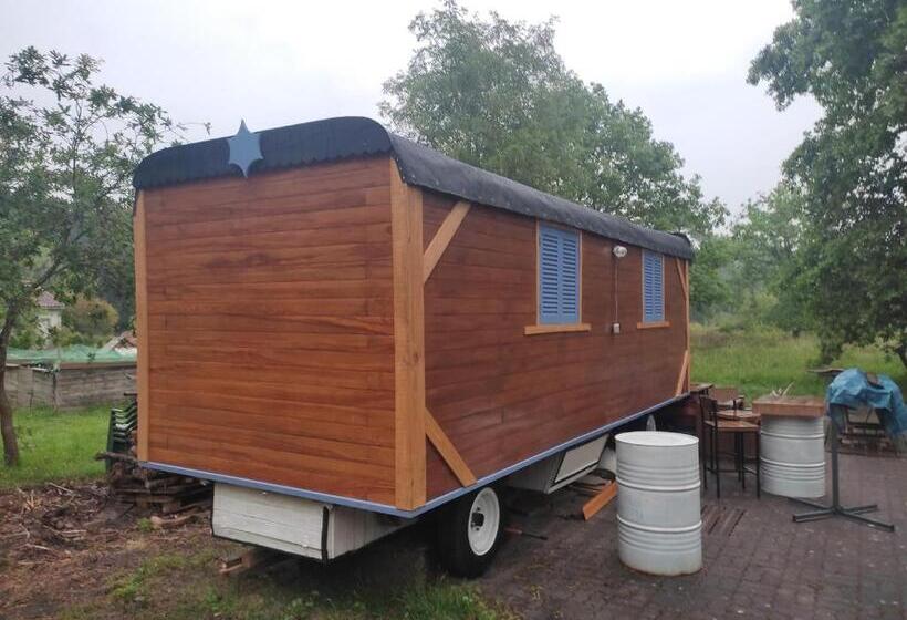 １ベッドルームハウス, Zenzela Surf House