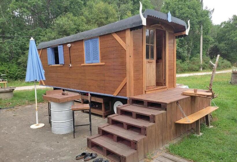 منزل غرفة نوم واحدة, Zenzela Surf House