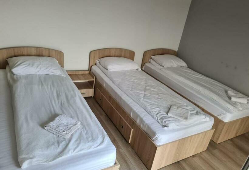 스탠다드 트리플 룸, Pensiunea Andreea