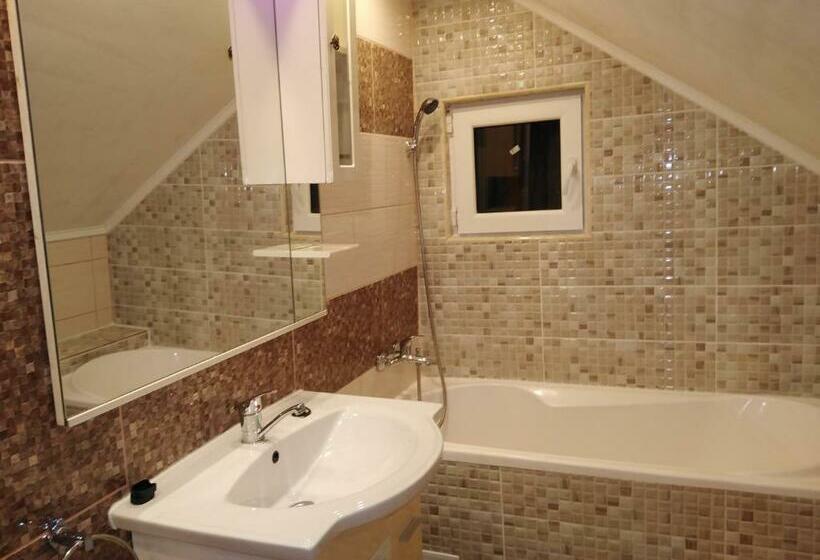 디럭스 룸, Pensiunea Burciu