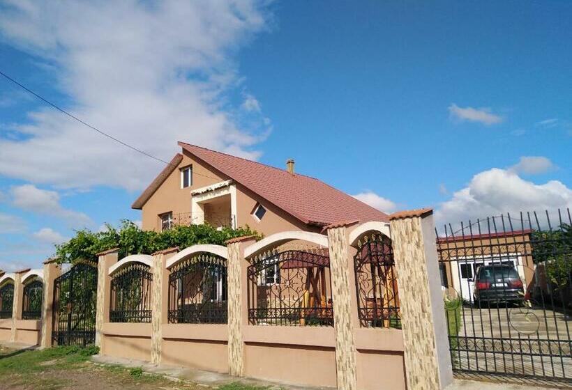 디럭스 룸, Pensiunea Burciu