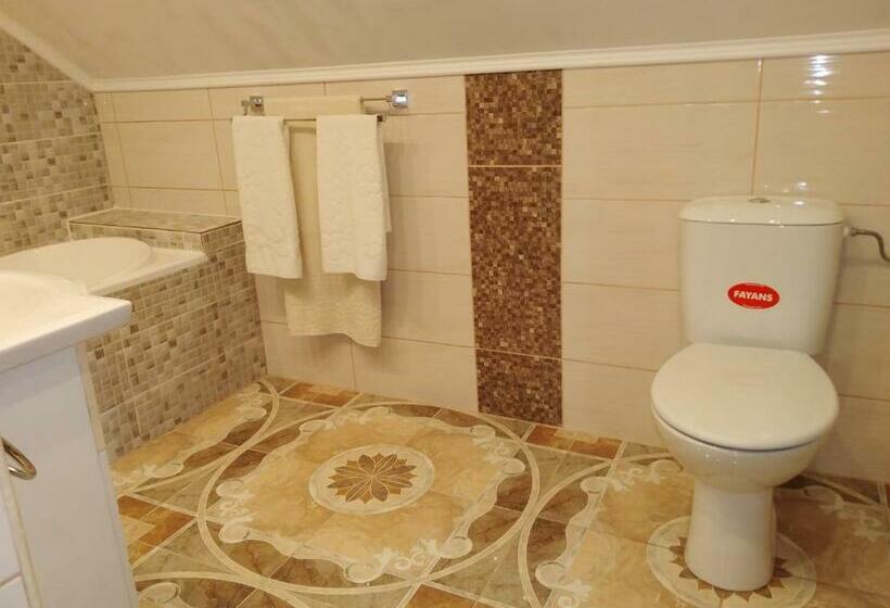 디럭스 룸, Pensiunea Burciu