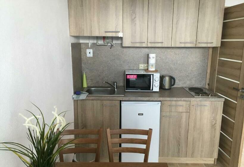 침실 1개 아파트, Apartmány S Klimatizací   Penzion U Kudláčků Pouzdřany