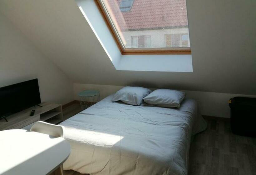 스탠다드 스튜디오, Studio Cosy