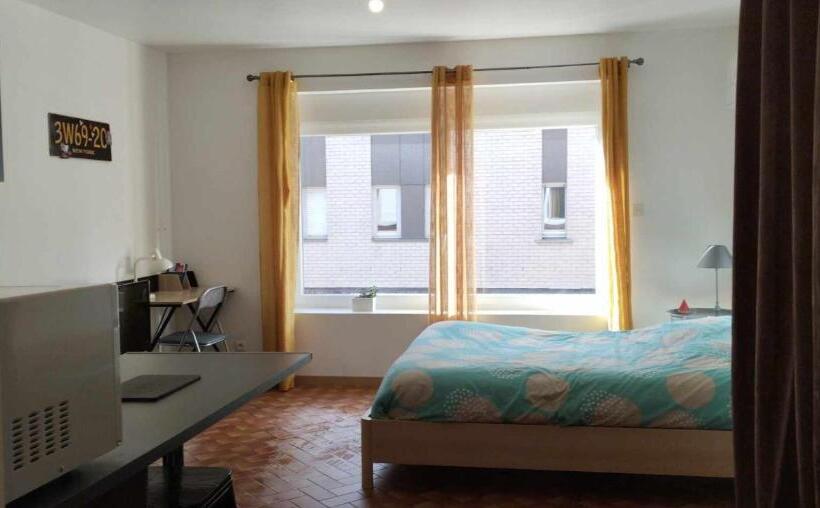 스탠다드 스튜디오, Studio Cosy